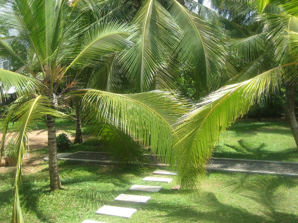 Liyana Holiday Resort Anuradhapura Εξωτερικό φωτογραφία