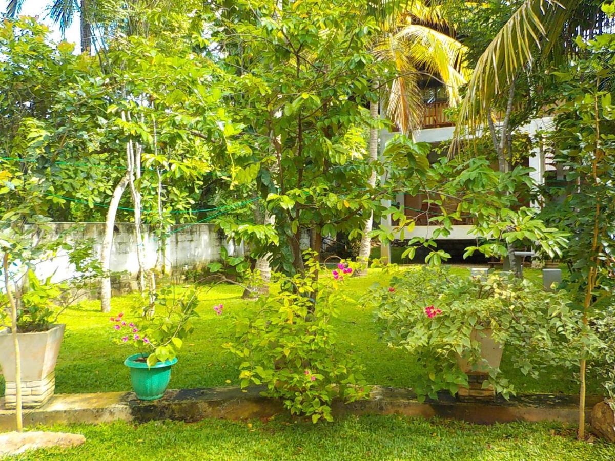 Liyana Holiday Resort Anuradhapura Εξωτερικό φωτογραφία