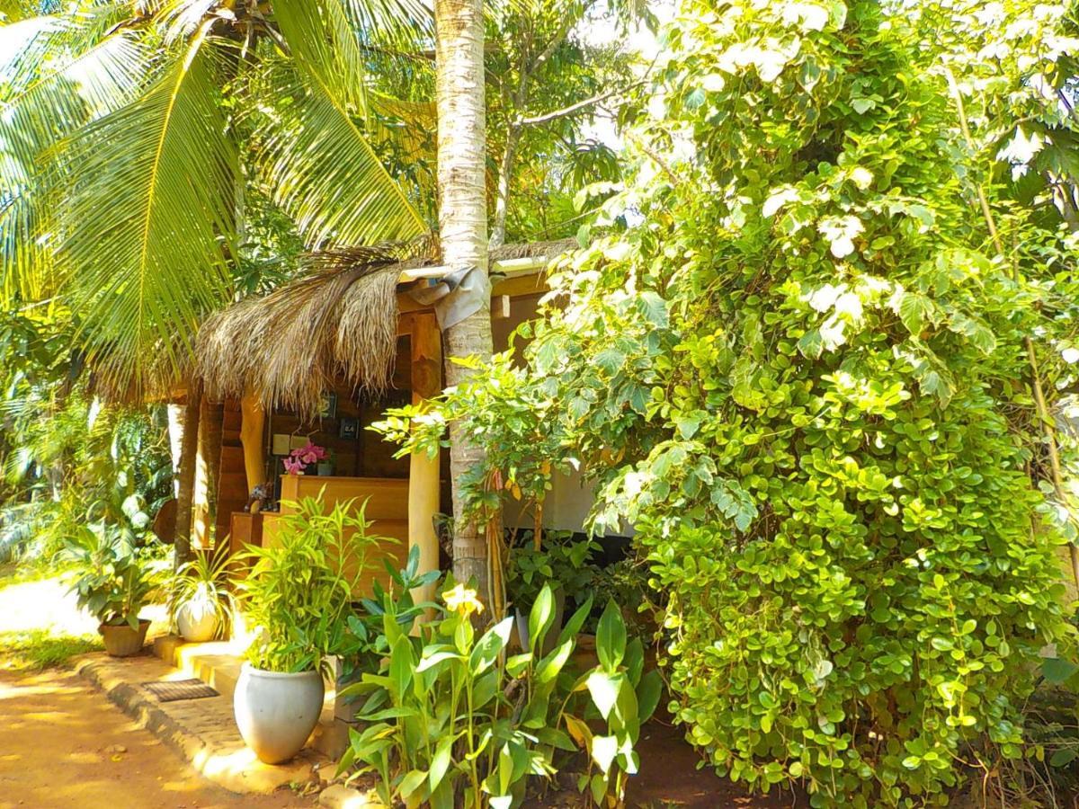 Liyana Holiday Resort Anuradhapura Εξωτερικό φωτογραφία